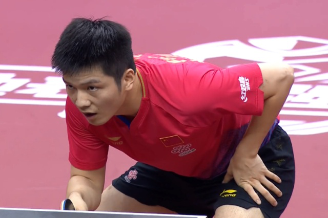 供多样化的 供多样化的