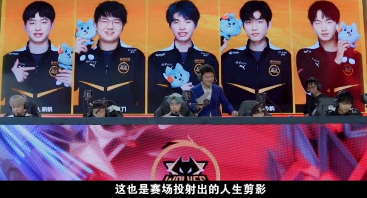 职业生涯的 职业生涯的